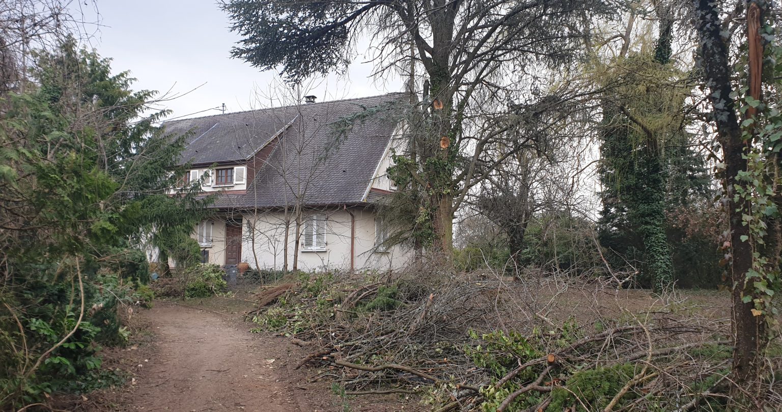 @nicolasjehly - Canopee_Cernay_23rec