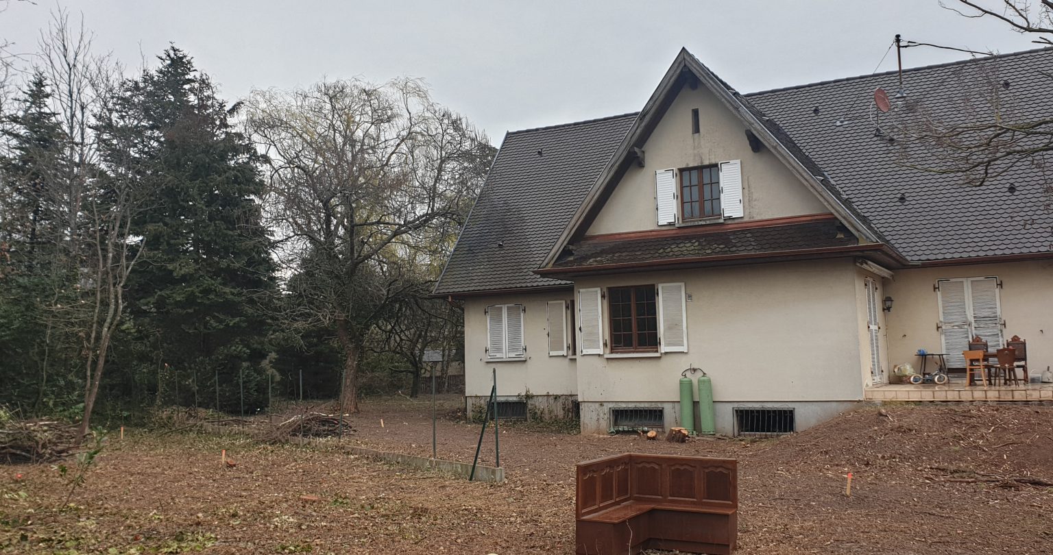 @nicolasjehly - Canopee_Cernay_45rec