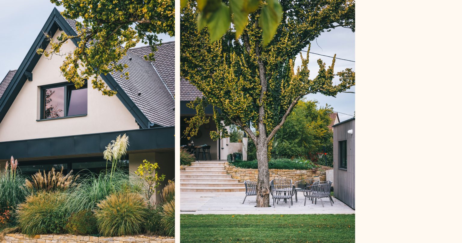 @nicolasjehly - Canopee_Cernay_46rec