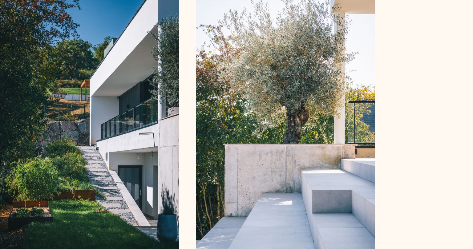 @nicolasjehly - Canopee_Habsheim_12rec