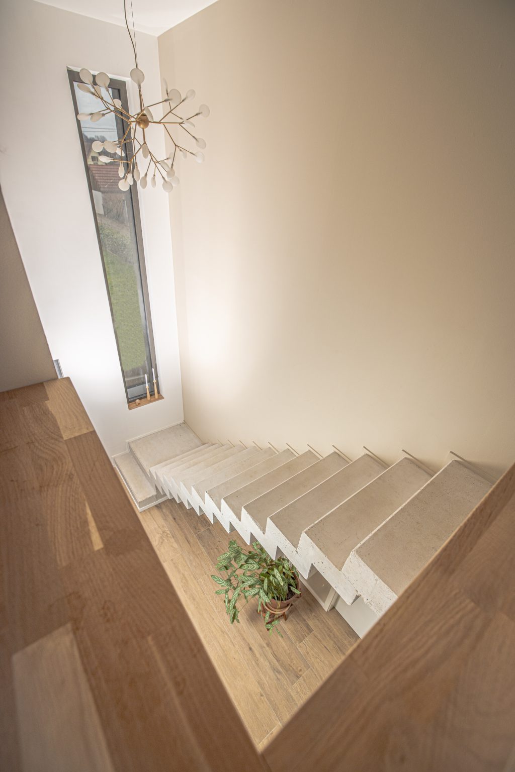 Canope╠üe_20210205_19